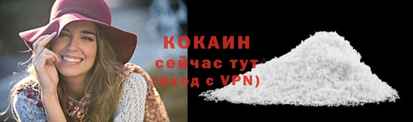 дживик Алзамай