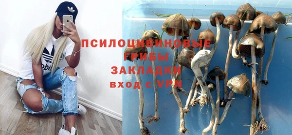 дурь Алексин