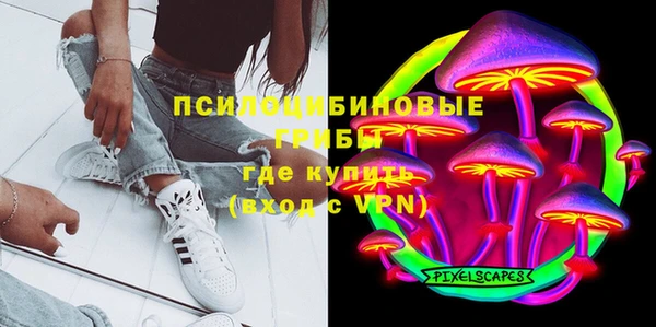 дурь Алексин